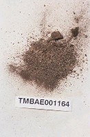 藏品(光苔)的圖片